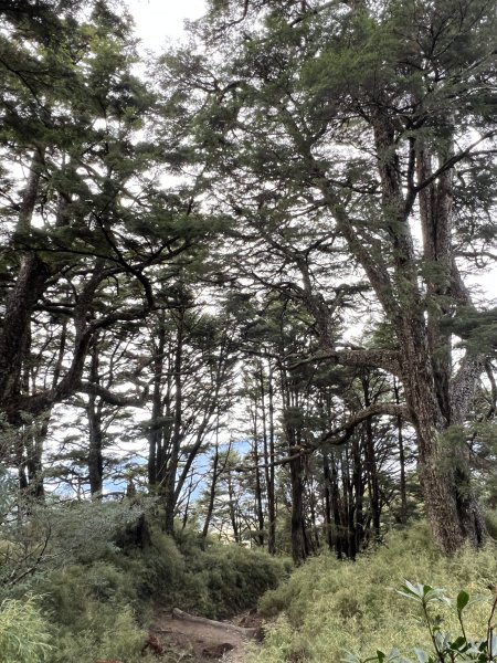 百岳-塔關山2695795