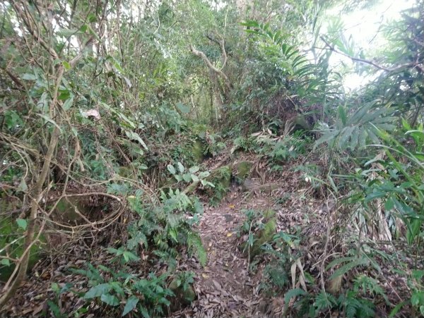 暗影山 小百岳 三等三角點4181690863