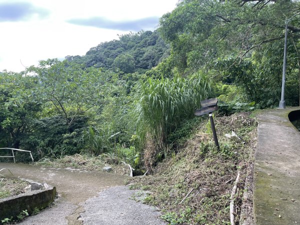 紗帽山半嶺水圳步道2650048