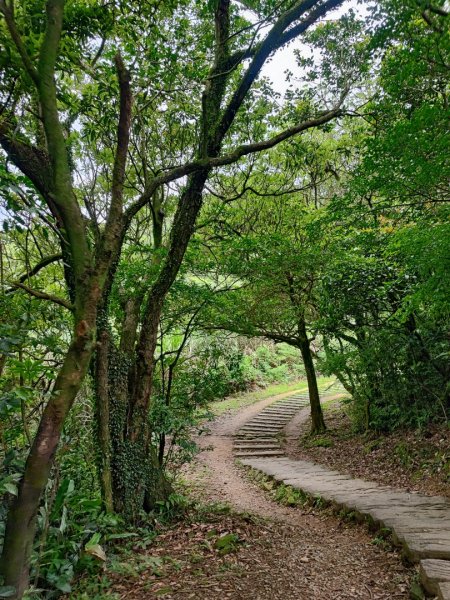 姜子寮山-小百岳#11-基隆市七堵區2248504