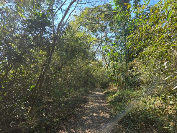 九龍山連走大凍山2955725