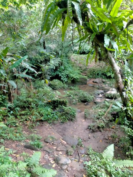 白石湖+打鐵寮古道2824176