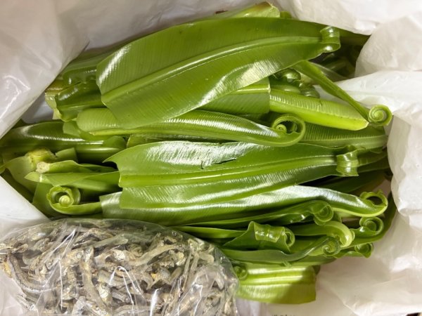 戲水（耘雲姊2786120