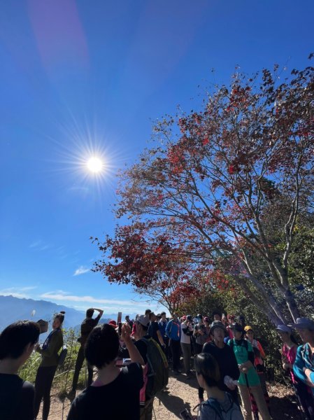 馬那邦山賞楓趣1549569