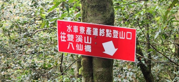 【中級山縱走】志繼山，東眼山，拉卡山，卡外山，東滿步道2742578