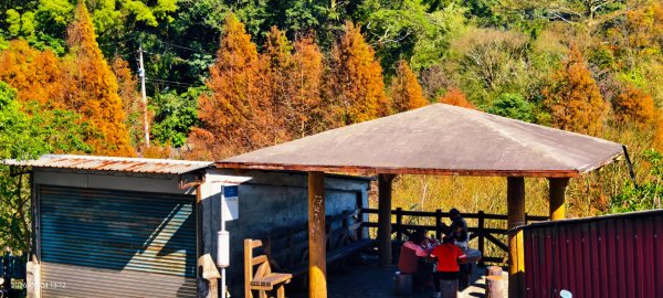 #花卉試驗中心 #永公路500巷 #平菁街42巷 #原住民公園 #士林官邸 1/42976530