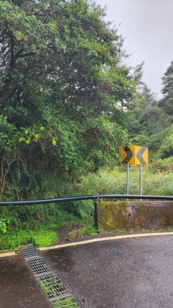 【中級山縱走】觀雪縱走（雪見大板根，仰天神木，北坑山，司馬限林道）2741262