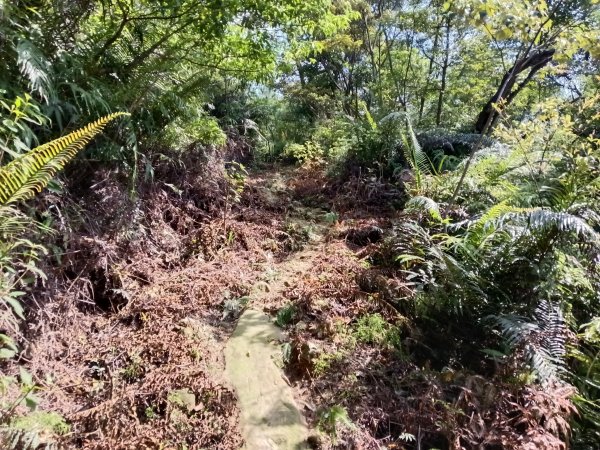 汐止區金明山B線+如意湖O型2860239