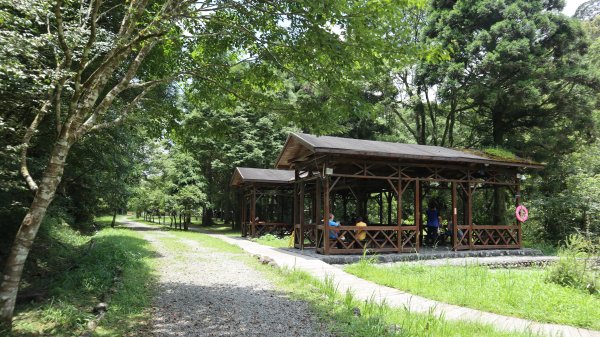 福山植物園登山健行趣(步道)2269415