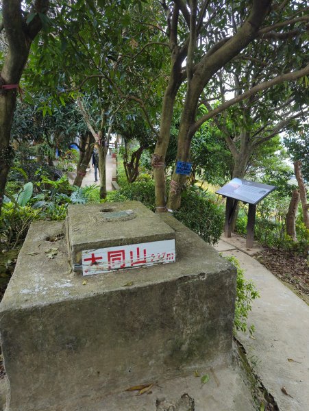 2022.03.05－大棟山縱走1636840