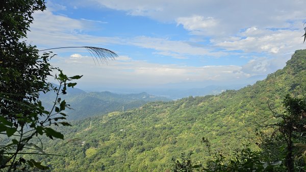 暗影山三進三出2366555