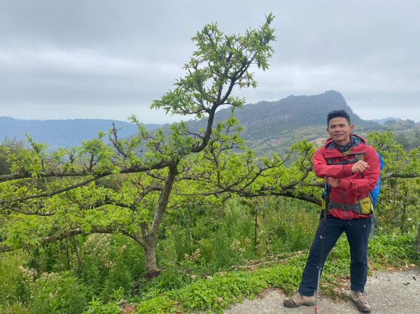 烏嘎彥竹林步道.馬都安古道【因為堅持 所以更顯珍貴】2064487