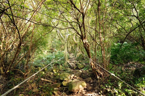 新北 八里 觀音山、牛港稜山2681330