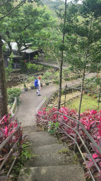 2025-01232淡蘭古道北二段(燦光寮古道到澳底)2696682