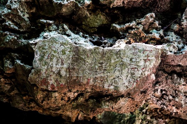 大崗山步道｜小百岳2812772