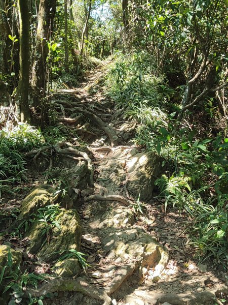微笑山線：【天上山系】烘爐地土地公段2895749