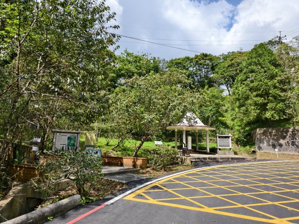 [百山百鳥尋旅-06/15] 2025_0830 貓囒山步道2875702