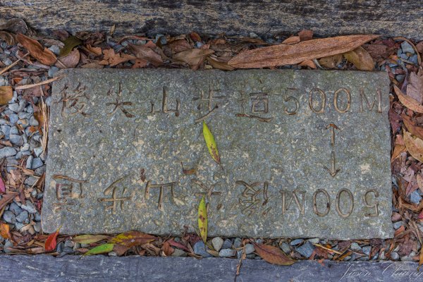 [南投]後尖山3015578