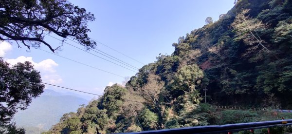 中級山-鳶嘴稍來2889063