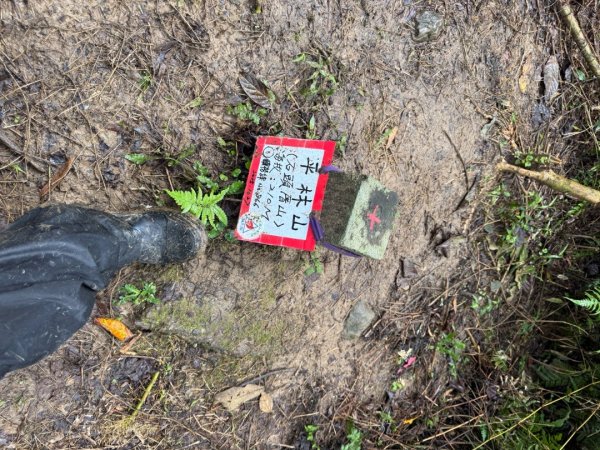 三林一后一紙及武山煤礦文化遺址8字行2991118