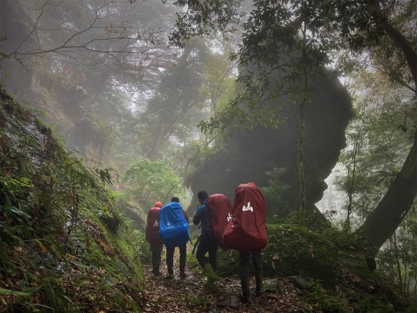 【山林】新竹林管處執行森林巡護特遣任務 守護「福巴越嶺步道」豐富自然生態