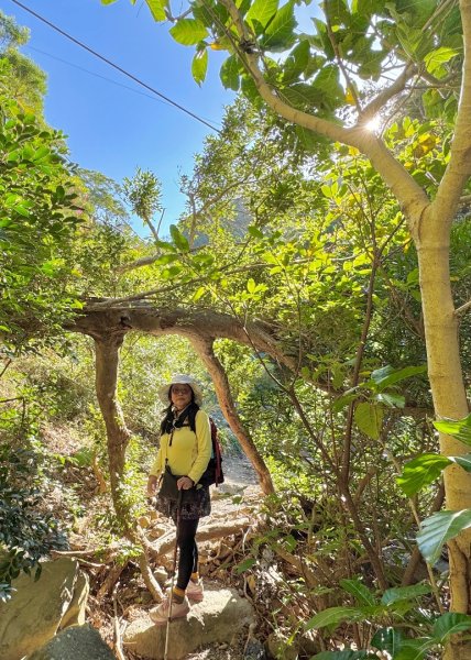 楓港紫竹林龍峰寺起登 里龍山(小百岳#80)來回2964459