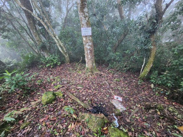 20260208五分寮頂山內大坪山石硬山O型3005243