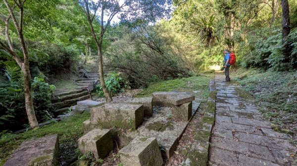 114.06.28內平林山-番子坑山-平湖森林遊樂區之O型2824292