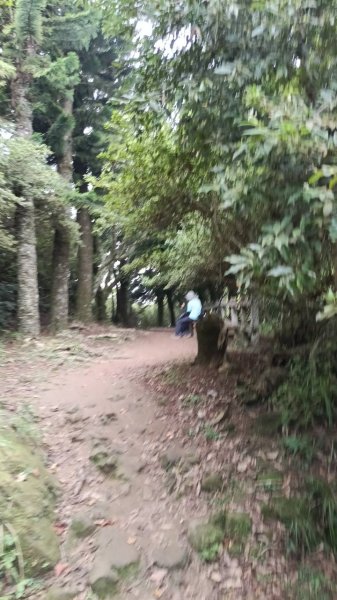 20251004 馬那邦山 - 珠湖 登山口2904855