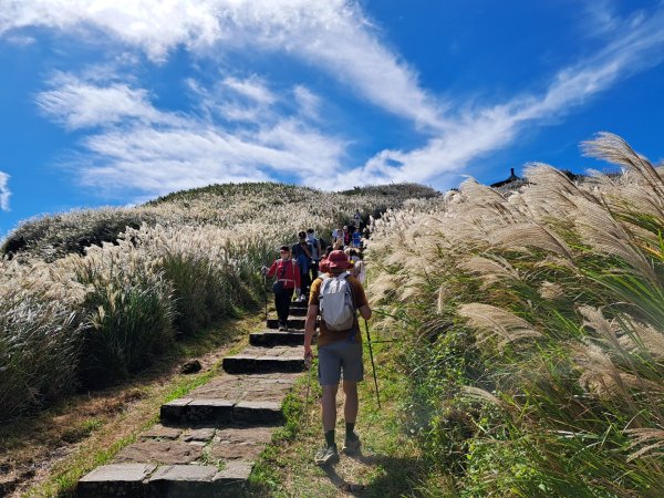 小百岳集起來大屯主峰，七星峰主峰，東峰步道3135743