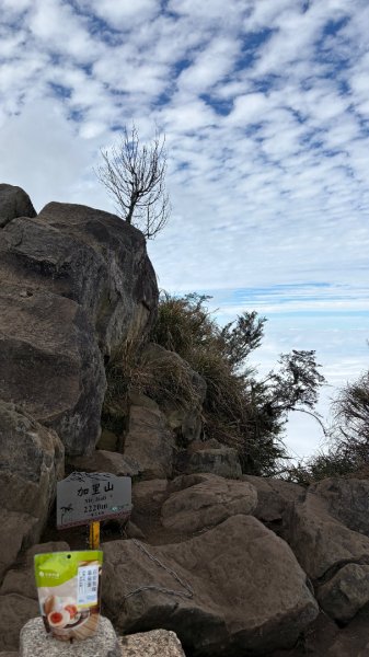 再也不爬囉（告別20252973163