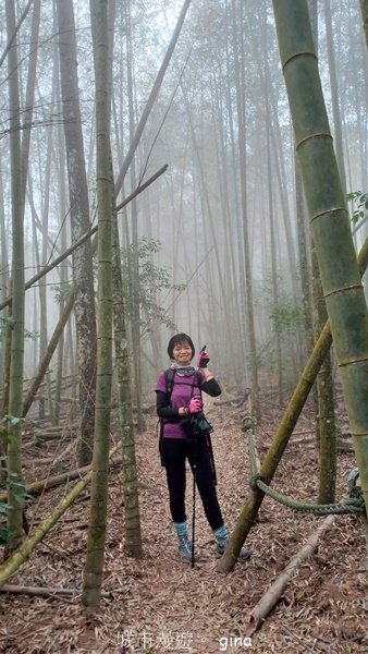 【南投魚池】中部四大名山之山高路遠。 水社大山登山步道2037924