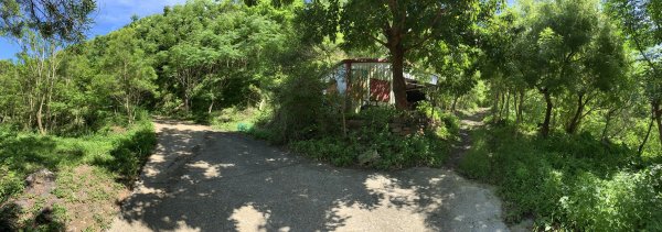 20250621屏東巴士墨山-草埔後山2821418