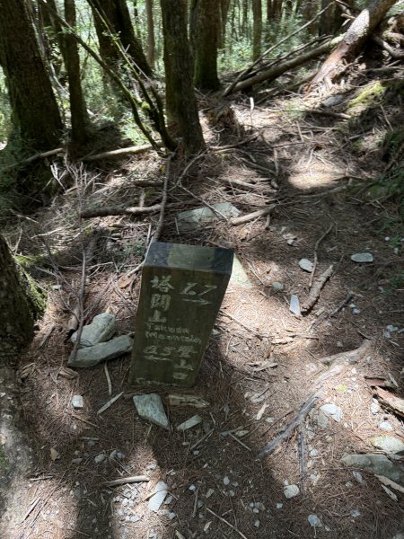79塔關山3083500