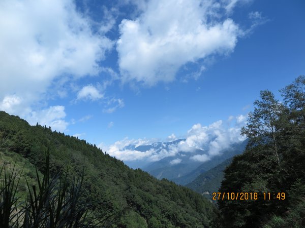 特富野古道449273