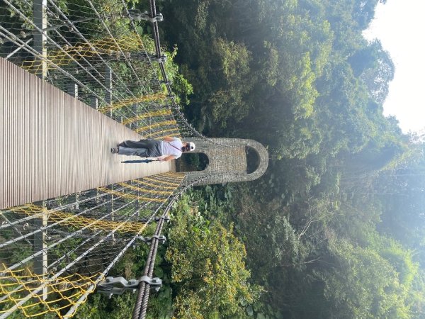 嘉義獨立山國家步道2747999