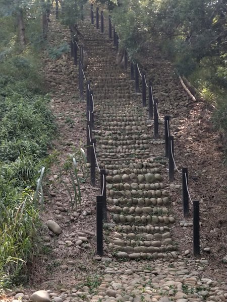 瑞井串聯環保公園登山步道1909159