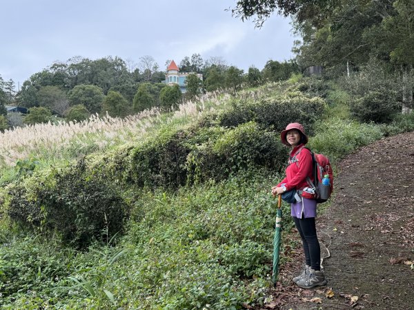 大山背山+騎龍山O繞2025.12.282979492