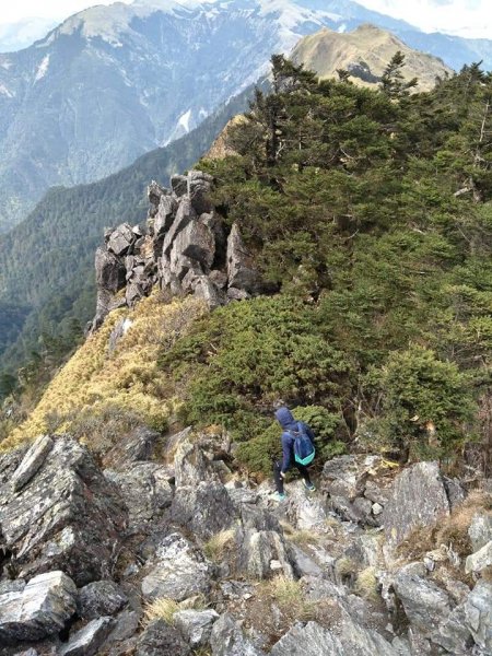 能高越嶺-能高主峰，一日單攻1009849