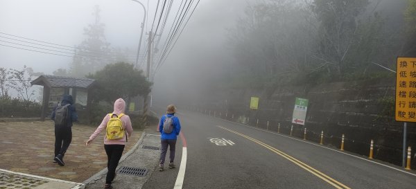 2024/12/14_關刀山步道O型2669297