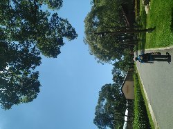 霄裡好風光,運動樂悠遊-大湳森林公園2814910