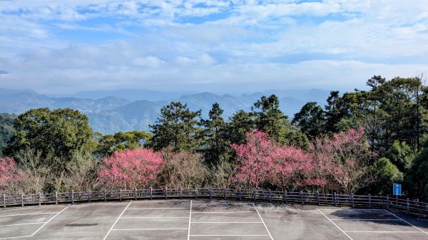 貓貍山.協雲宮,青青草原2701154