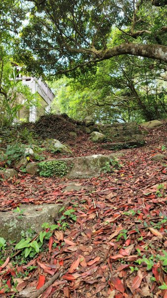 中正山環型步道2109296