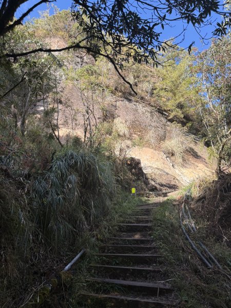 20251225塔山步道(大塔山)2970405