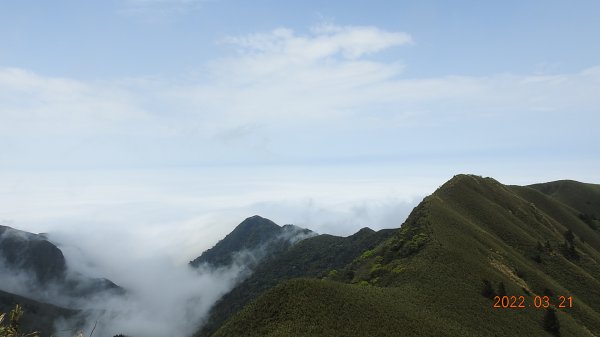 陽明山趴趴走，整天差強人意雲海1650822