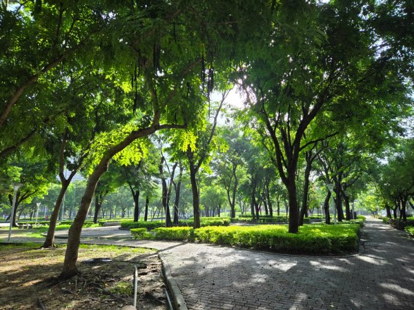 凹子底森林公園2834869