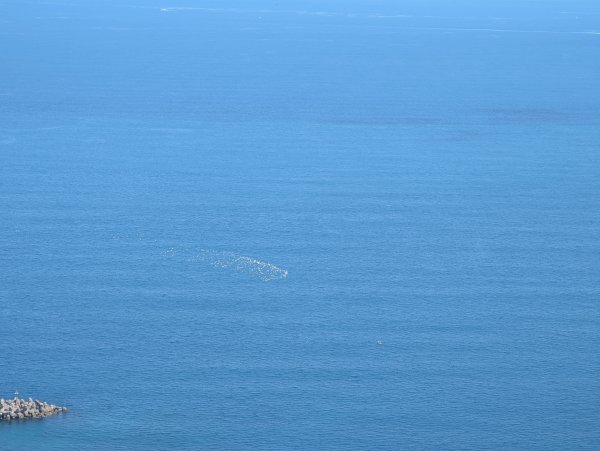 2025.09.13－情人湖步道&大武崙山2885837