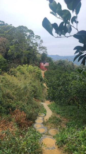 2025-0208聚興山小百岳2710889