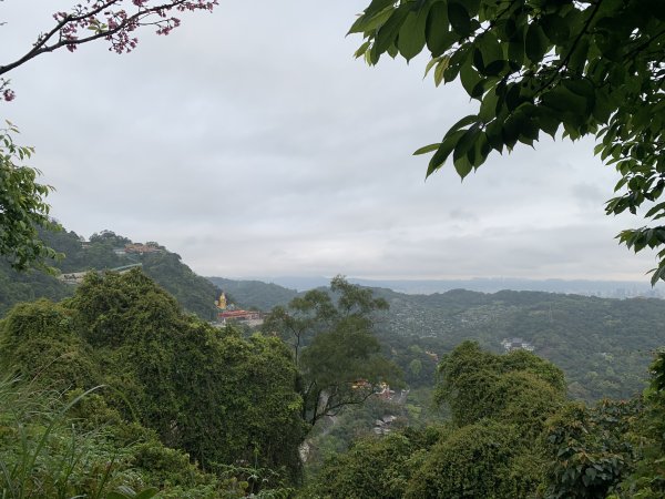 20260321烘爐地（南勢角山）3045188