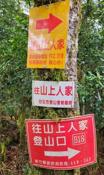 【中級山】有一種美，令人不想回家，新竹鵝公髻山2744662